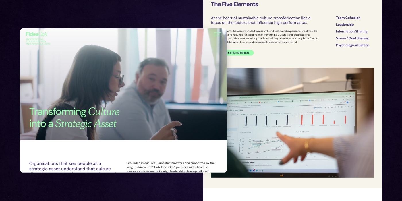 01 - Website Example 15 - Fidesoak
